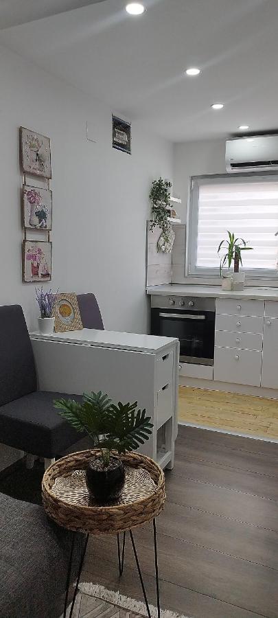 Queen Apartmancic Zaječar Eksteriør billede